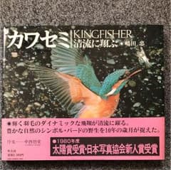 カワセミ―清流に翔ぶのサムネイル