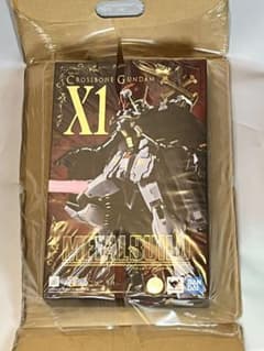 【未開封】METAL BUILD メタルビルド クロスボーン・ガンダムX1のサムネイル