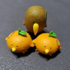 トリピカルズ　パンダの森　キウイ　オレンジ　セットのサムネイル
