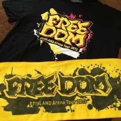 ★値下げ★FTISLAND 2013tour  Tシャツ タオルのサムネイル