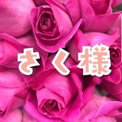 さく様専用ページ꙳★*゜1粒薔薇ピアスのサムネイル