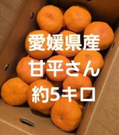 에히메현산 감평씨