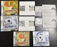 ポケウォーカー無し】ハートゴールド・ソウルシルバー2本セット HGSS