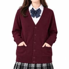スクールカーディガン ニットセーター Vネック 長袖 Lサイズのサムネイル