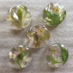 桜咲く箸置きのサムネイル