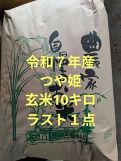 令和７年　宮城県産つや姫　玄米10キロ　１等米　環境保全米　新米　値下げ不可 令和7年 宮城県産つや姫 玄米10キロ 1等米 ラスト1点 環境保全米