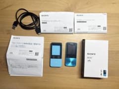 SONY ウォークマンNW-S313【カバー、説明書、ケーブル】動作確認済み SONY ウォークマンNW-S313【カバー、説明書、ケーブル】動作確認済み