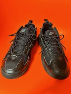 NIKE Zoomのサムネイル