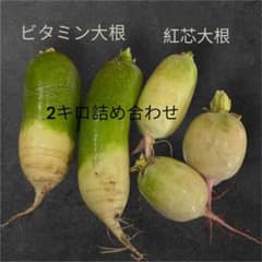 最終値下げ！新鮮 大根 緑と白の組み合わせ - メルカリ