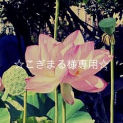 """こぎまる様専用"""のサムネイル