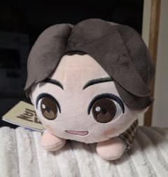 TinyTAN 잠자는 봉제 인형 Jung Kook SEGA