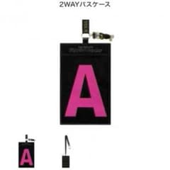値下げ！！AAA パスケースのサムネイル
