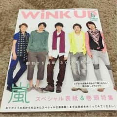 Wink upのサムネイル