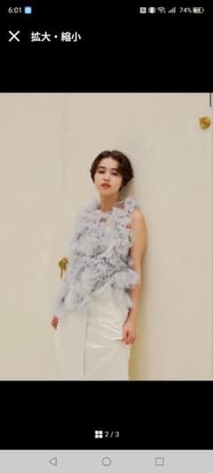 完売品・限定色】NOTREemor asymmetry tulle tops - メルカリ