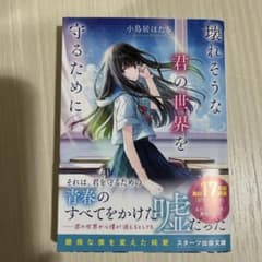 壊れそうな君の世界を守るためにのサムネイル