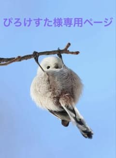 ぴろけすた様専用ページのサムネイル