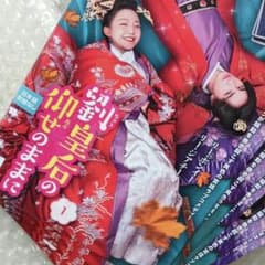 劉皇后の仰せのままに DVD 中国ドラマ 全巻 リー・ジアチー リー