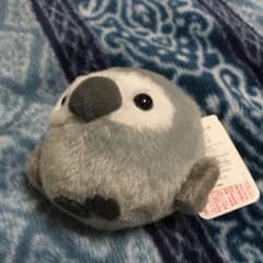 punkukさん専用のサムネイル