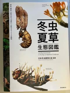 古本：冬虫夏草生態図鑑 日本冬虫夏草の会 2014年刊 - メルカリ