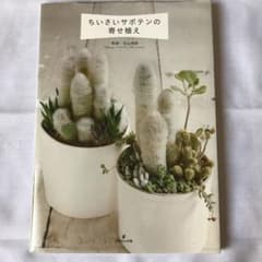 「ちいさいサボテンの寄せ植え = Minisabo World」のサムネイル