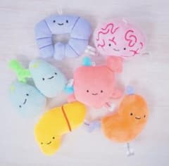 きこ様★にっこりーノ 元気なカラダのぬいぐるみ だいのう 大脳のサムネイル