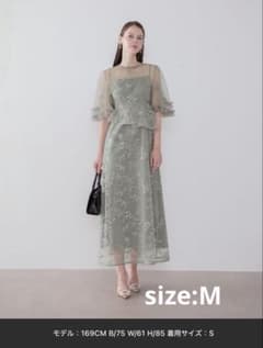 leja リーフシシュウAラインワンピースドレスのサムネイル