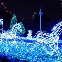 おちゃっぴーに様専用のサムネイル