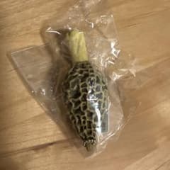 アミガサタケ フィギュア キーホルダーのサムネイル