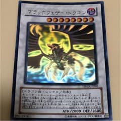 ブラックフェザードラゴン ホロのサムネイル