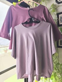 UNIQLO U ユニクロ Tシャツ☆2枚　グレーパープルS 　パープルピンクMのサムネイル