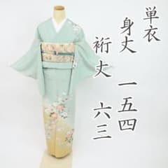 単衣】訪問着 染め分け 四季の花模様 背紋有 薄緑グリーン 正絹 5HG3 