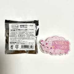 Petit Cure Name Acrylic Badge Collection - Mipple