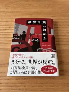 黒猫を飼い始めたのサムネイル