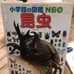 昆虫のサムネイル
