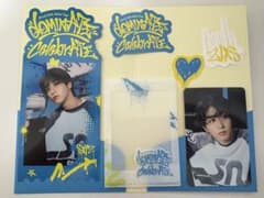 SPECIAL TICKET SET HAN スキズ ハンジソン - メルカリ