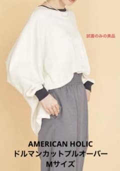 AMERICAN HOLIC    ドルマンカットプルオーバー　Mサイズのサムネイル