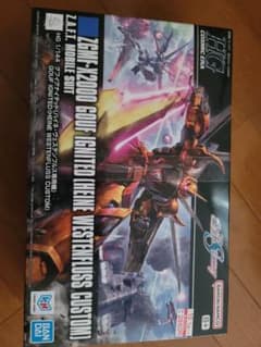 【新品未開封】HG1/144グフイグナイテッド(ハイネ・ヴェステンフルス専用機)のサムネイル