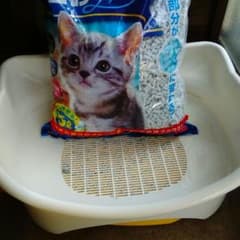 猫ちゃん用トイレのサムネイル