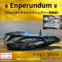 m22964274212_1.jpg?1748027276