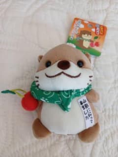 さすらいの旅カワウソ　山形　さくらんぼのサムネイル