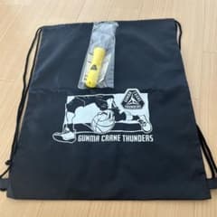 群馬クレインサンダーズ ジムサック、ペンライト（入会特典） - メルカリ