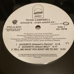 ■送料込■TEVIN CAMPBELL / GOODBYE EP Hakeemのサムネイル