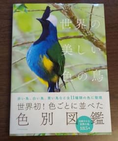 世界の美しい色の鳥のサムネイル