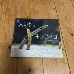 ゆらゆらチンアナゴ　絵本のサムネイル