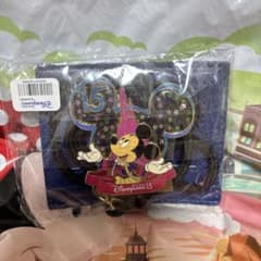 香港 ディズニーランド 15周年 キャスト ランヤード パスケース ID