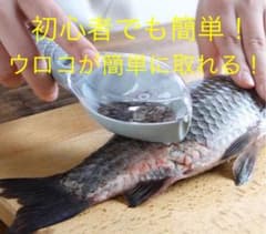 初心者　簡単　ウロコ取り　鱗　白色　魚　魚釣り　料理　ゴミ　釣り　竿　リールのサムネイル