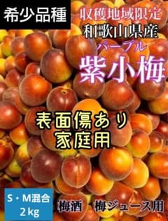 和歌山県産 【希少品種】紫小梅♥️2kg みかんキング 家庭用 S・M混合