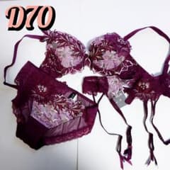 サルート新品セット 52 d70 d75＆ソングMorL 3点セット サルート 52グループ D70 M - メルカリ
