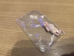 へそ天にゃん　子猫クリームのサムネイル