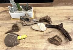 爬虫類インテリアセット⑦アク抜流木 ココナッツシェルター 流紋岩